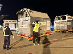 專業(yè)高(gāo)效 助力亞運 專業(yè)高(gāo)效 助力亞運